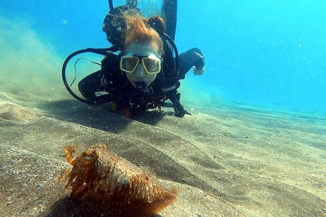 Discover beginner diving in Tenerife - Booking and cancellation advice