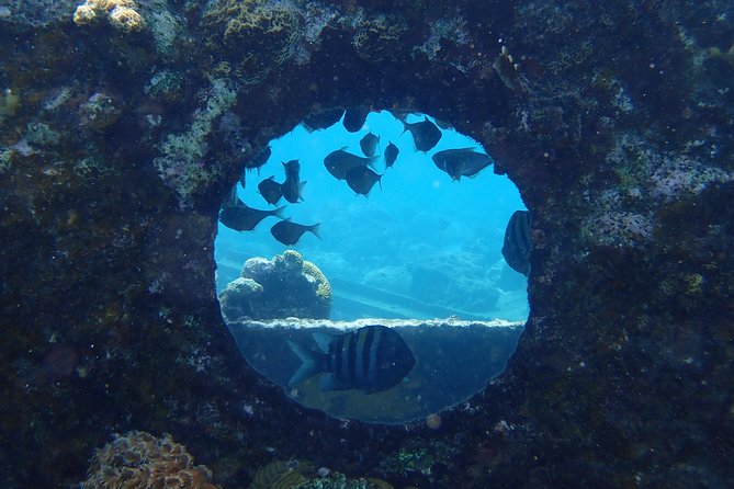 Discover Diving in Curacao - Key points to know before you book