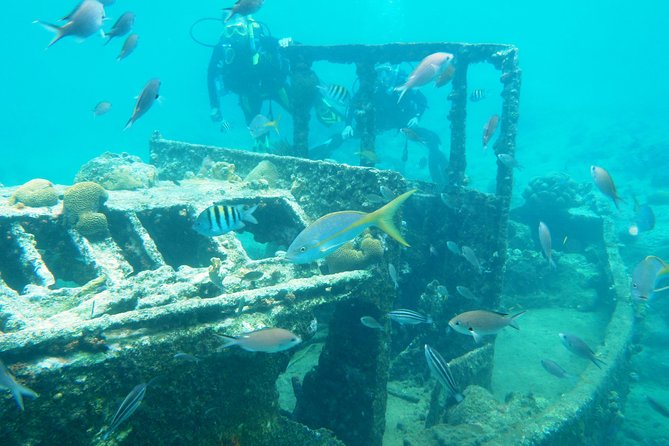 Discover Diving in Curacao - A close look at the equipment and instruction