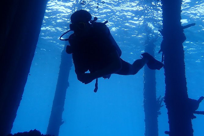 Discover Diving in Curacao - Is $125 a fair price?