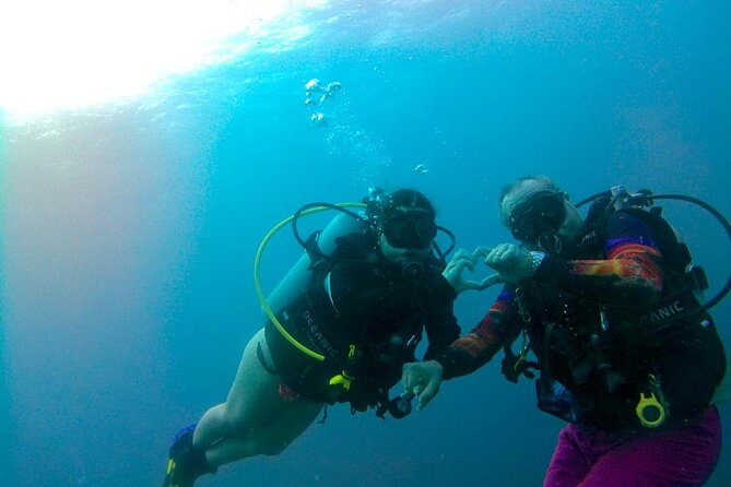 Discover Diving in Curaçao with Transportation Included - Your first Curaçao scuba experience