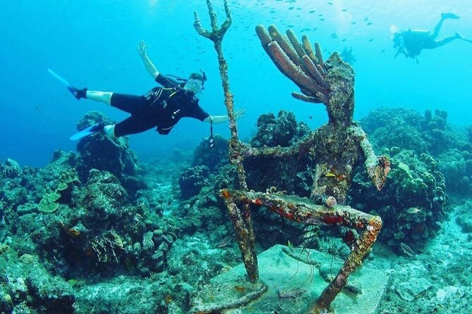 Discover Diving in Curaçao with Transportation Included - Equipment, transport, and what the price covers
