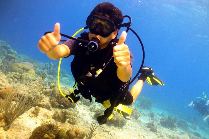 Discover Diving in Curaçao with Transportation Included - Starting at Renaissance Mall and Rif Fort