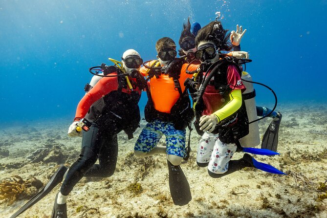 Discover Diving in the Reefs of Cozumel - The 12:00 pm start and meeting point
