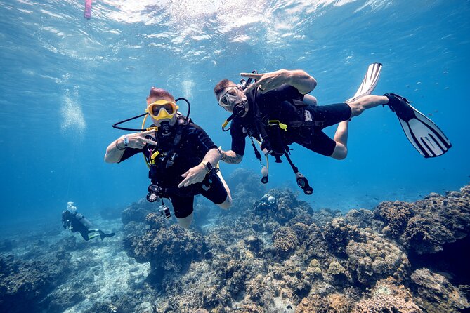 Discover Diving in the Reefs of Cozumel - Meeting instructors Vanessa or Fernando