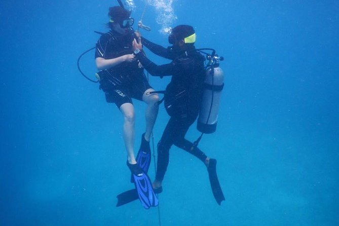 Discover Fajardo: 2-Tank Scuba Diving - Your morning at Marina Puerto Del Rey