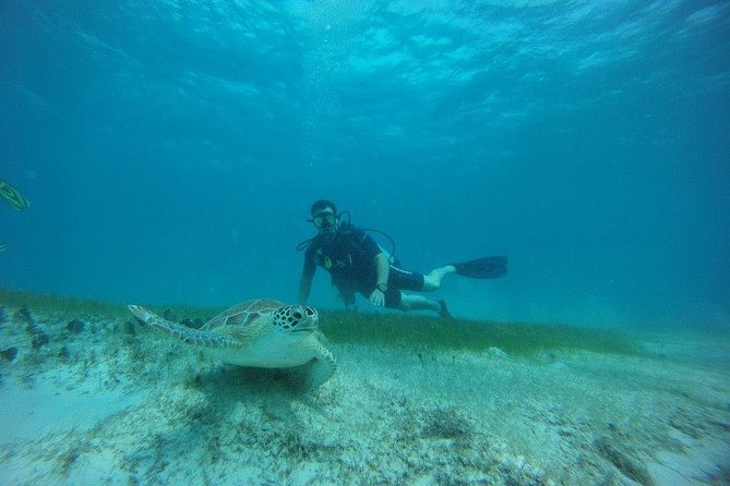 Discover Fajardo: 2-Tank Scuba Diving - Boat ride to the Cordillero Reef System
