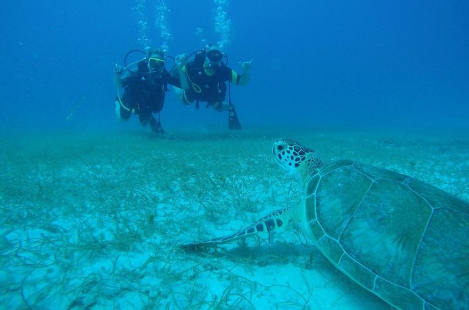 Discover Fajardo: 2-Tank Scuba Diving - How the two sessions differ