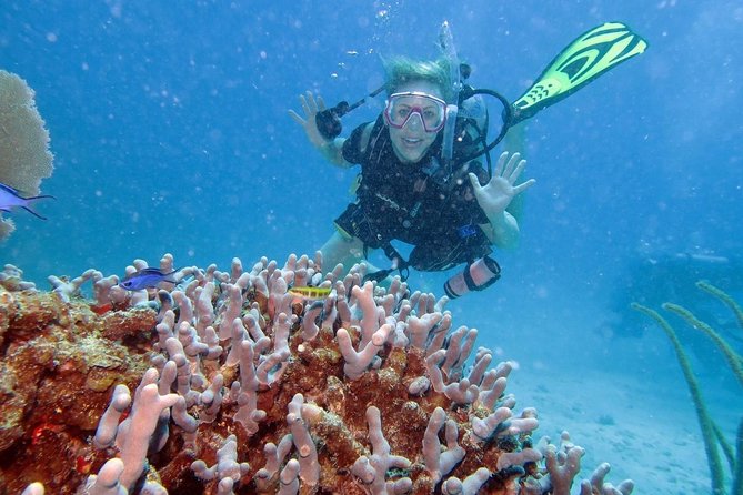 Discover Fajardo: 2-Tank Scuba Diving - Learning the basics before open water