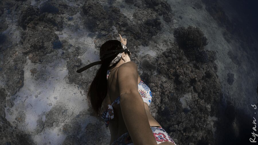 Discover Freediving in Boracay - Is $57 a fair price?