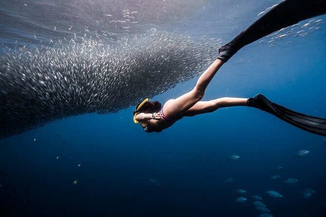Discover Freediving One Amazing Day - Key points at a glance