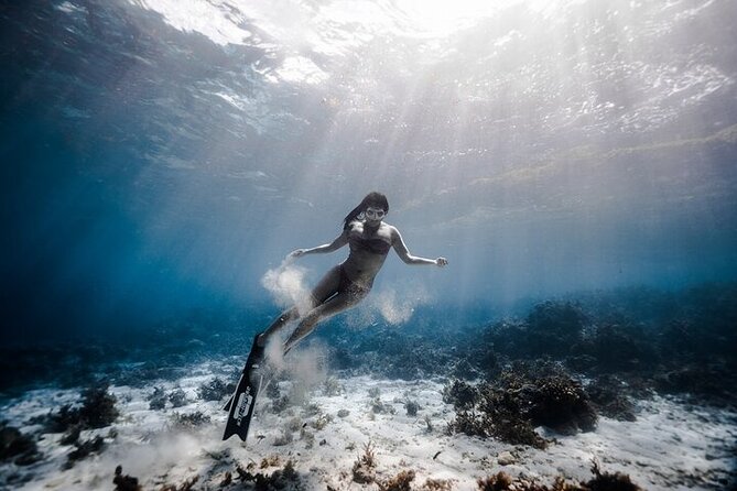 Discover Freediving One Amazing Day - The sardines are worth the trip, but the coaching matters more