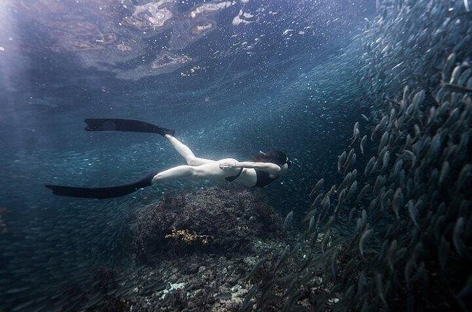 Discover Freediving One Amazing Day - What the $225 price gets you