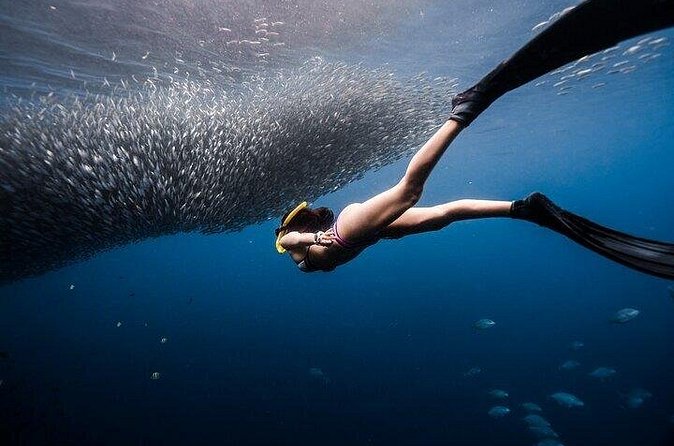 Discover Freediving One Amazing Day - Practical details before you go