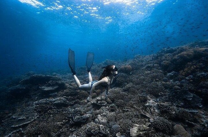 Discover Freediving One Amazing Day - Should you book this one-day freediving experience?