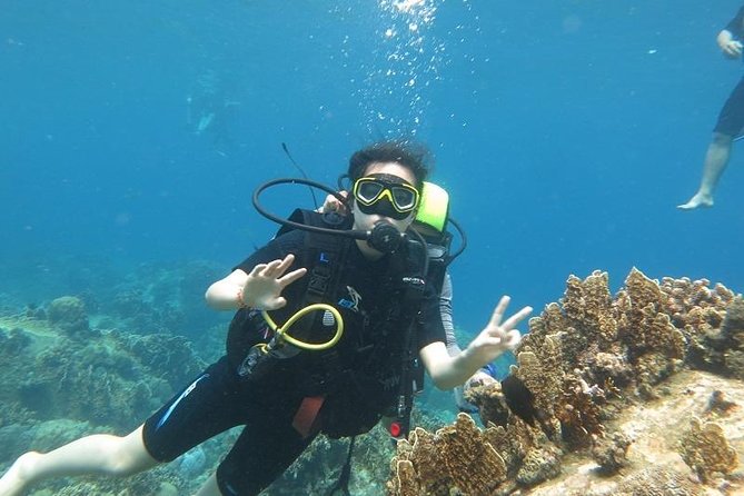 Discover Nha Trang Bay with Scuba Diving Tour - Key points to know before booking