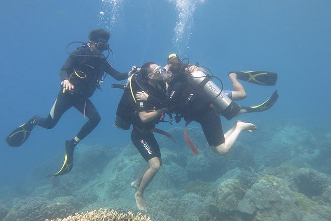 Discover Nha Trang Bay with Scuba Diving Tour - Setting out from Nha Trang at 7:30 am