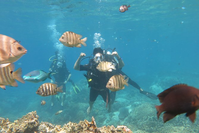 Discover Nha Trang Bay with Scuba Diving Tour - Choosing the second session at 11:00 am