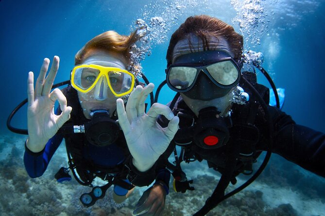 Discover PADI Diving in Barcelona - What this Barcelona scuba session really offers