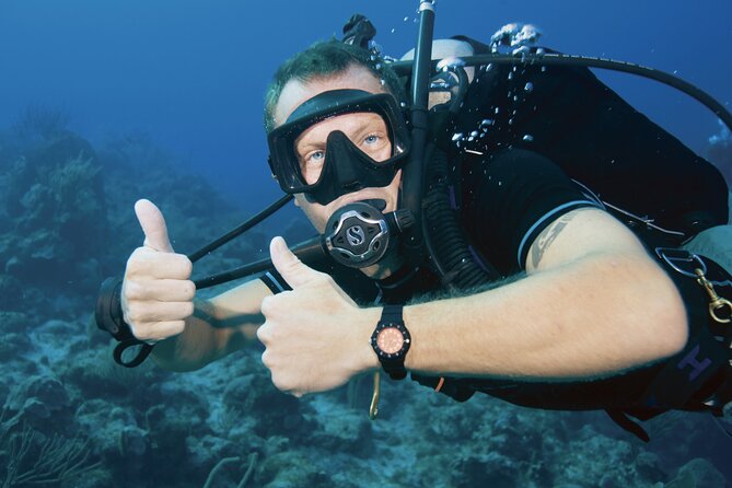 Discover PADI Diving in Barcelona - Underwater in a protected Barcelona sea area