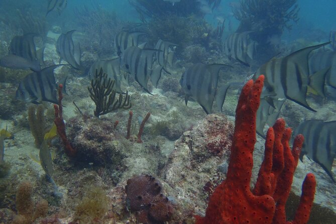 Discover Scuba - Reaching the National Reef Park of Puerto Morelos