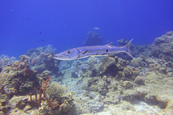 Discover Scuba - What to bring and what to skip