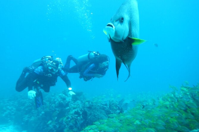 Discover Scuba - Health, fitness, and flight timing
