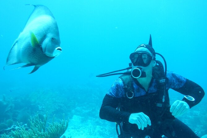 Discover Scuba - Timing, weather, and cancellation