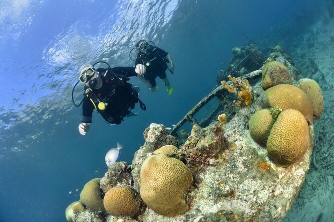 Discover Scuba Dive in Curacao - A gentle first step into scuba