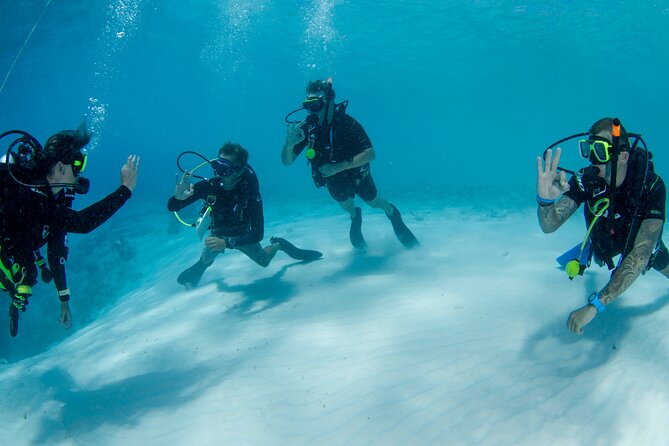 Discover Scuba Dive in Curacao - From calm practice to a Curacao reef