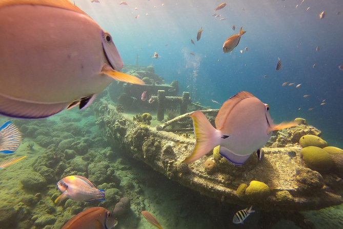 Discover Scuba Dive in Curacao - How the $125 price works out