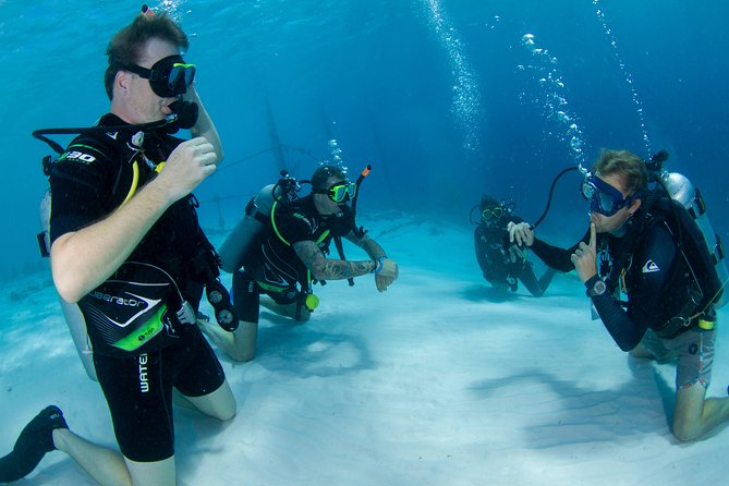 Discover Scuba Dive in Curacao - What happens at Kaya Adriátiko