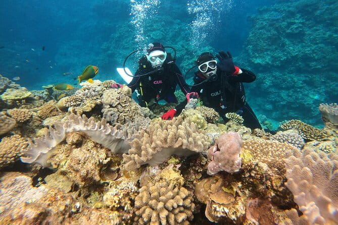 Discover SCUBA Diving 1 DIve 【Minna, Sesoko , Motobu Okinawa】 - A gentle first step into Okinawa’s underwater world