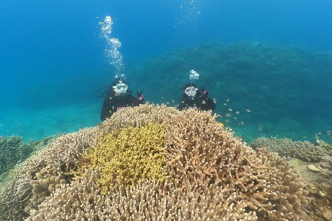 Discover SCUBA Diving 1 DIve 【Minna, Sesoko , Motobu Okinawa】 - What your 2.5 hours actually include
