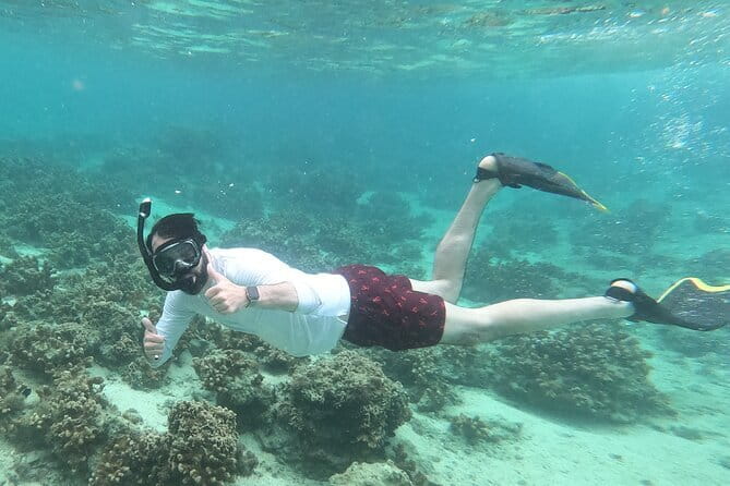 Discover SCUBA Diving 1 DIve 【Minna, Sesoko , Motobu Okinawa】 - Okinawa’s Minna and Sesoko area
