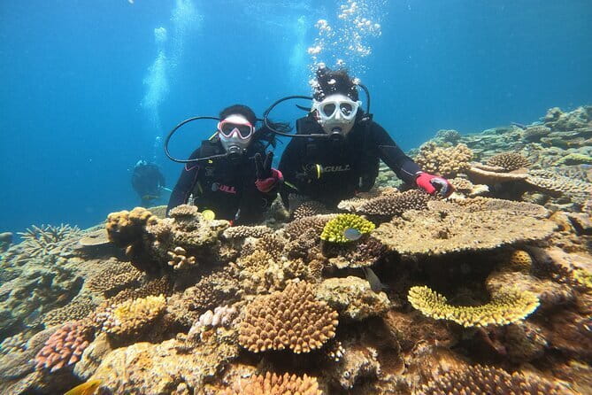 Discover SCUBA Diving 1 DIve 【Minna, Sesoko , Motobu Okinawa】 - Meeting at Yamagawa Port in Motobu