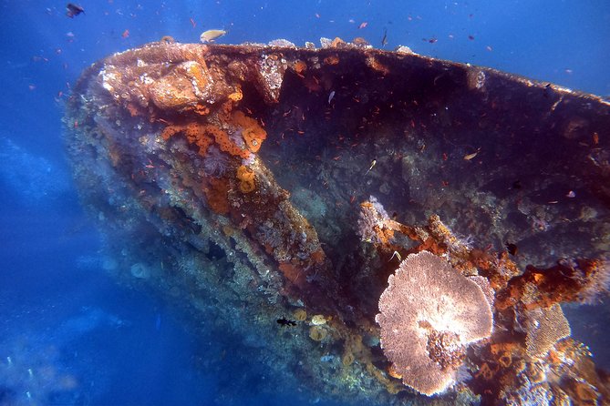 Discover Scuba Diving - Starting in the pool before heading to the reef