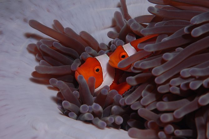 Discover Scuba Diving - What to pack and what costs extra