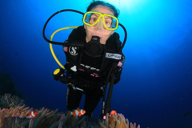 Discover Scuba diving - Should you book Ocean View Diving in Ayia Napa?