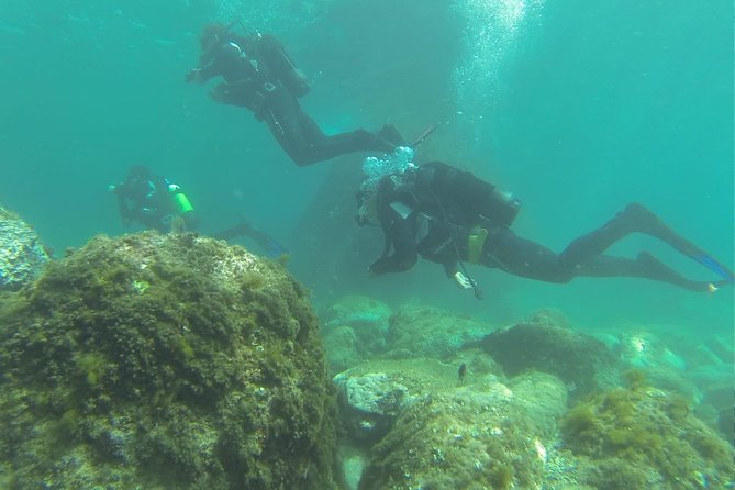 Discover Scuba Diving - What the $95 Price Gets You