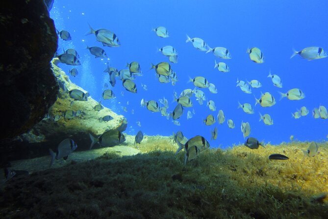 Discover Scuba Diving Adventure in Mykonos - Small details that can improve the day