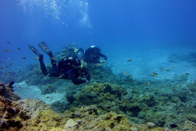 Discover Scuba Diving Adventure in Tenerife - Key points to know before booking