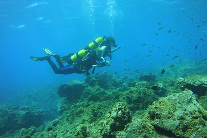 Discover Scuba Diving Adventure in Tenerife - Getting comfortable with the equipment