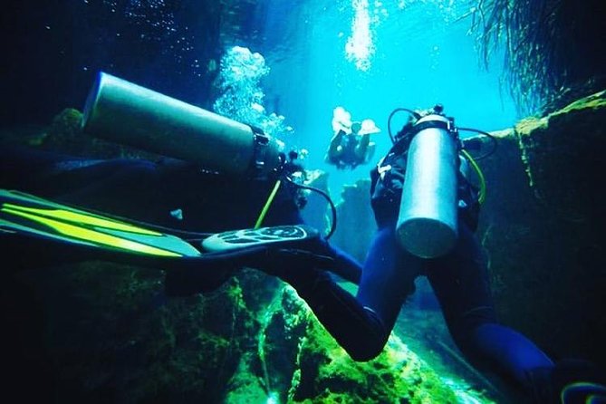 Discover Scuba Diving at Casa Cenote - The 9:00 am Start in Tulum Centro