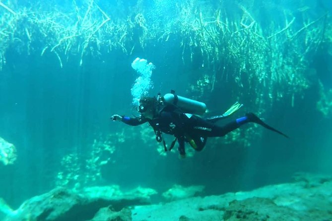 Discover Scuba Diving at Casa Cenote - A 21-Foot Scuba Route Among Mangroves