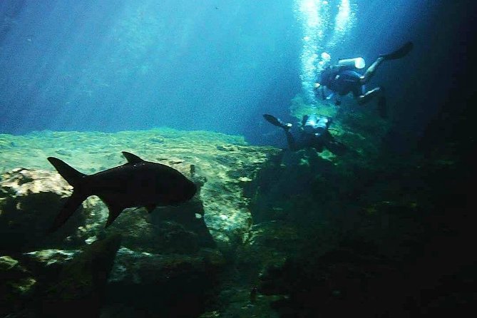 Discover Scuba Diving at Casa Cenote - Who Will Get the Most From This Experience?