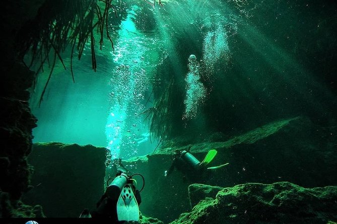 Discover Scuba Diving at Casa Cenote - Practicing Safety Skills at Casa Cenote