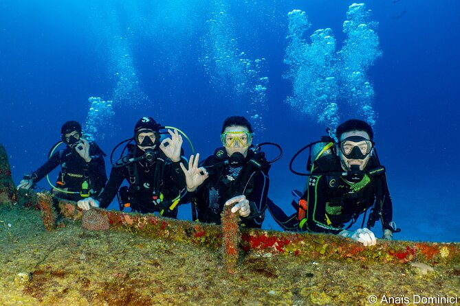 Discover Scuba Diving at Cozumel Marine Park - La Luciana gives you room to relax
