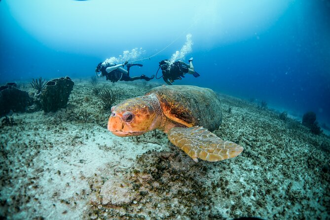Discover Scuba Diving & Beach Club with Transportation In Riviera Maya - Maroma Beach gives the outing more breathing room