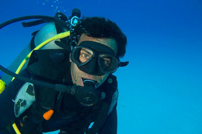 Discover Scuba Diving & Beach Club with Transportation In Riviera Maya - Shared transport is convenient, but plan around the schedule